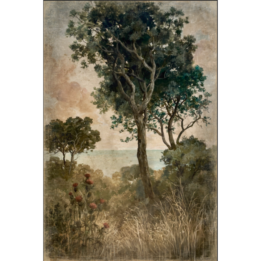 PINOS Y CARDOS (120x180cm)